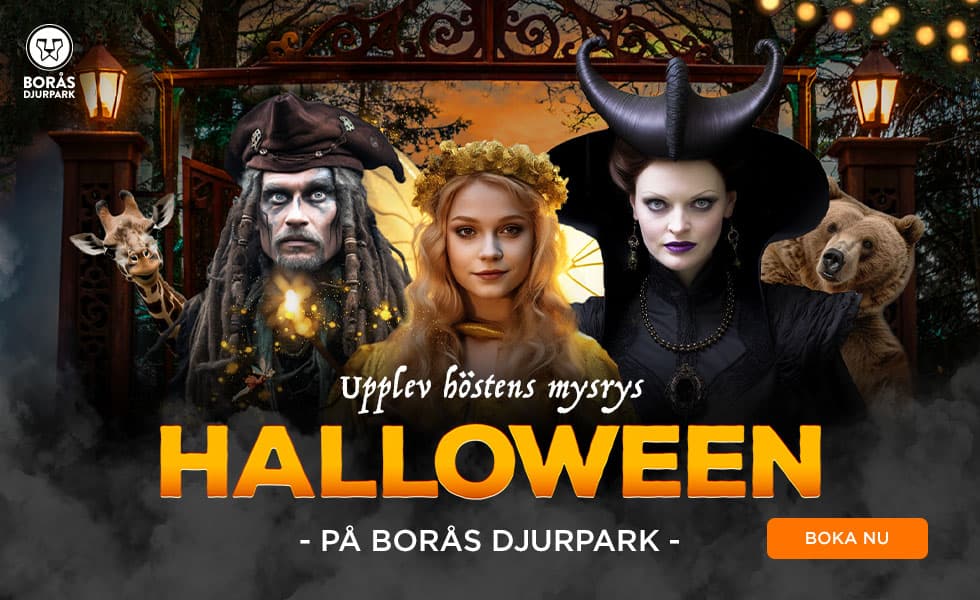 Borås djurpark hallowen Bannerannonsering AI