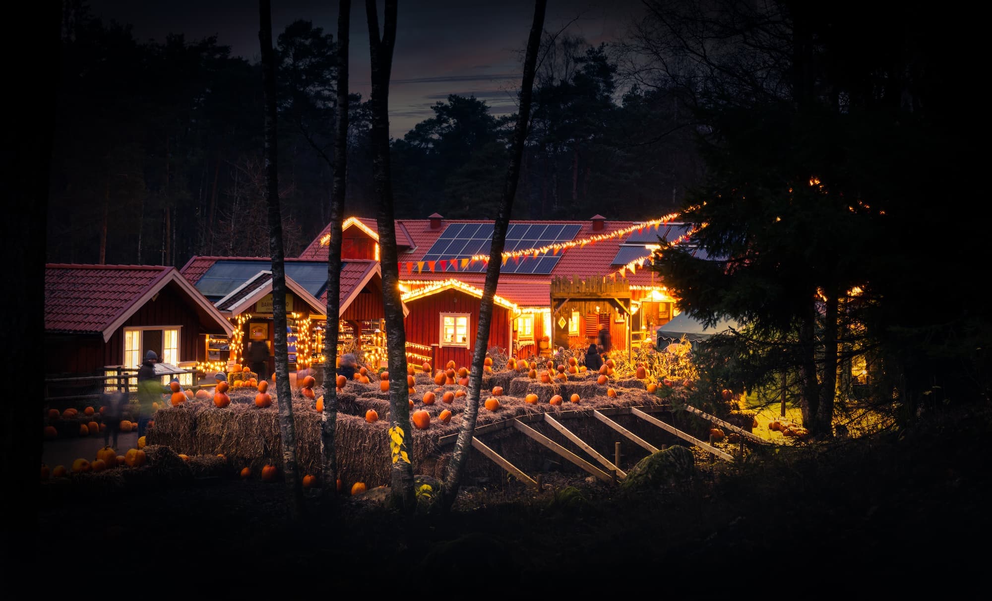 borås djurpark