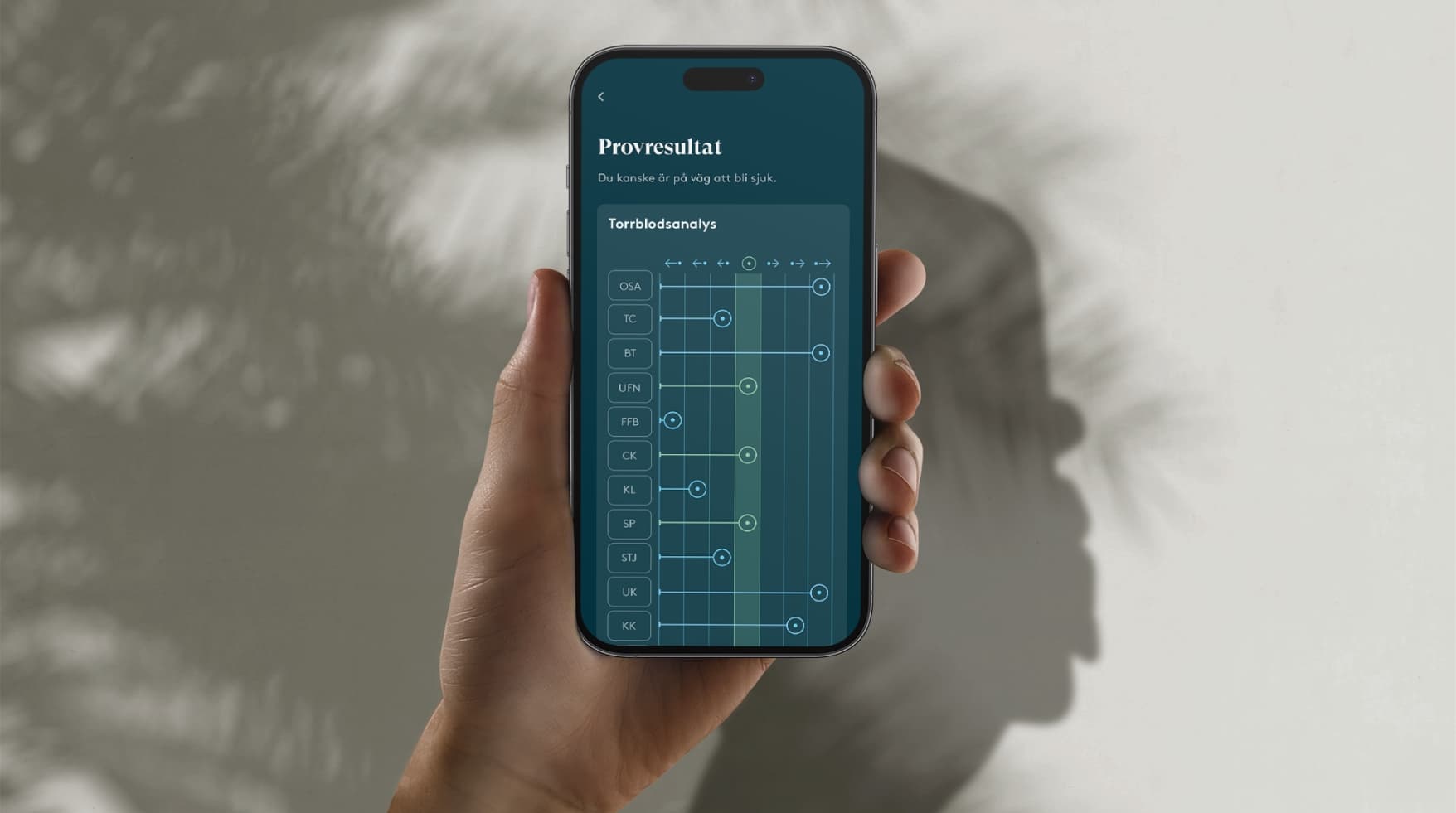 Apputveckling provresultat Wellon